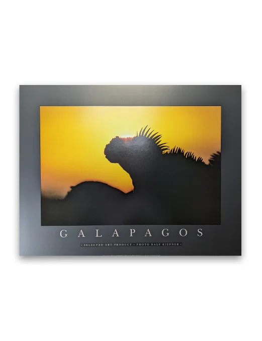 Ralf Kiefner | Galapagos