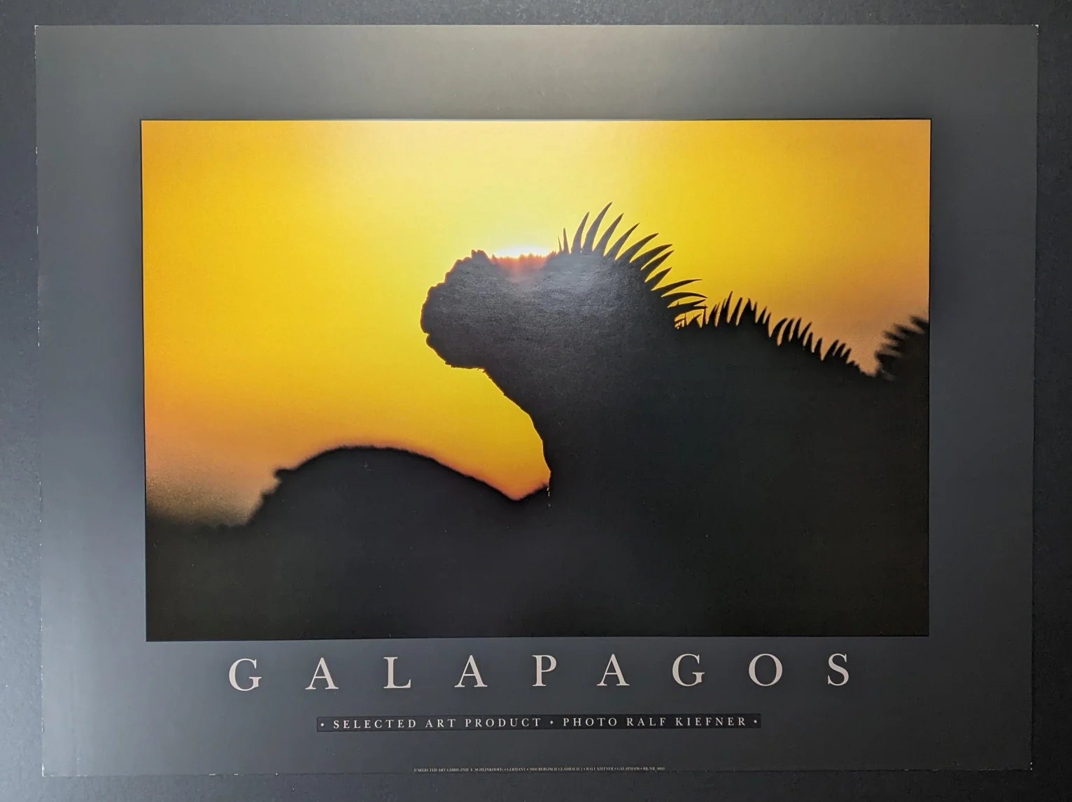 Ralf Kiefner | Galapagos – Bild 2