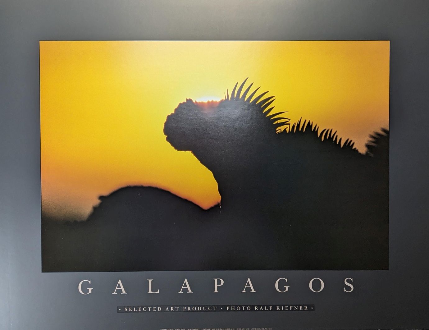 Ralf Kiefner | Galapagos – Bild 3