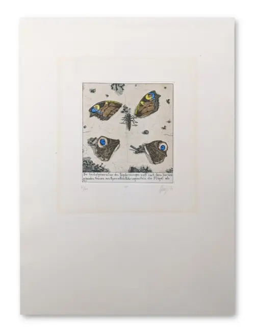 Radierung mit vier Tagpfauenaugen-Schmetterlingen, blau-gelben Augenflecken, Insekten und handschriftlichem Text