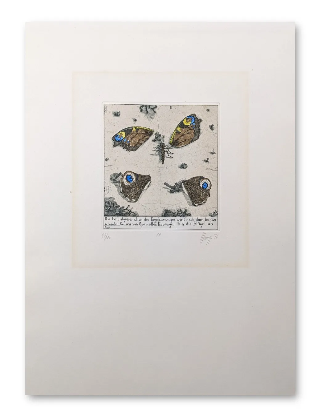 Radierung mit vier Tagpfauenaugen-Schmetterlingen, blau-gelben Augenflecken, Insekten und handschriftlichem Text