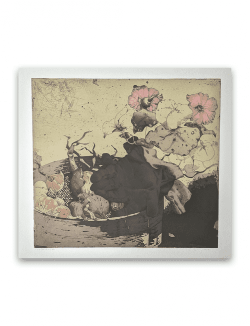 Radierung von Gerhart Bergmann mit dem Titel: Rosa Blüten II